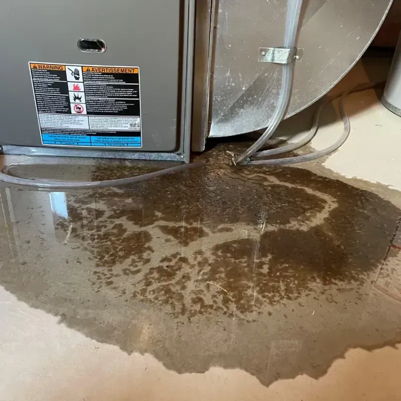 Appliance Leak Cleanup in Cold Spring, KY